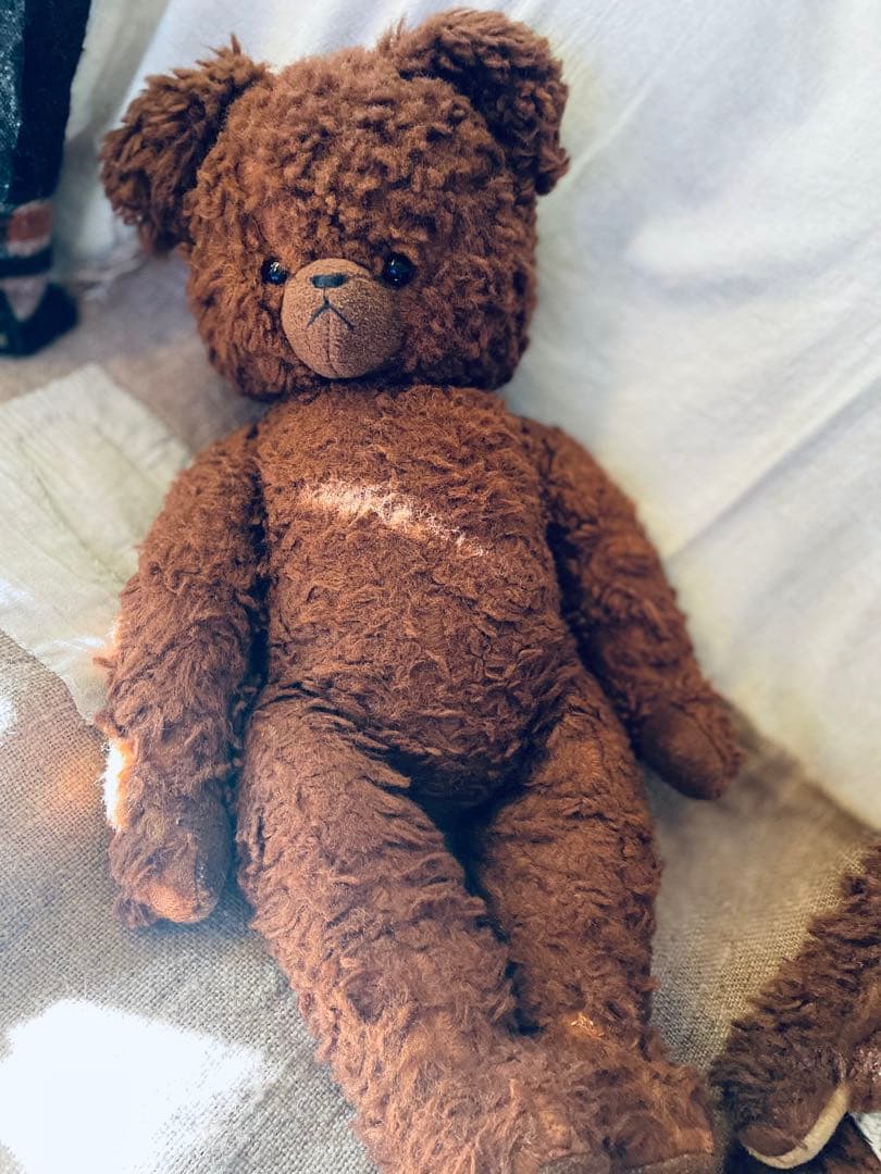 ・ ☆⋆ ☽ DDRベア　ブラウン　ドイツ　ヴィンテージベア ⋆ ☆ 。゜.