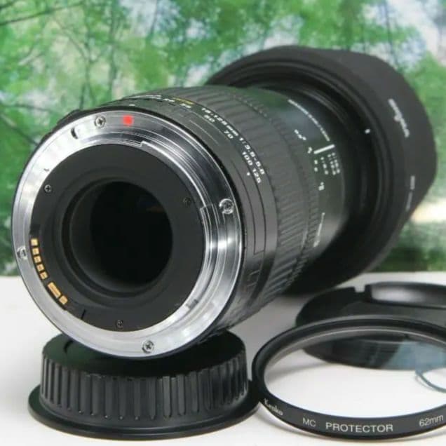 ❤普段使いこれ１本あればラクラク♪ SIGMA 18-125mm canon用❤