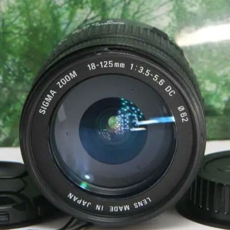 ❤普段使いこれ１本あればラクラク♪ SIGMA 18-125mm canon用❤