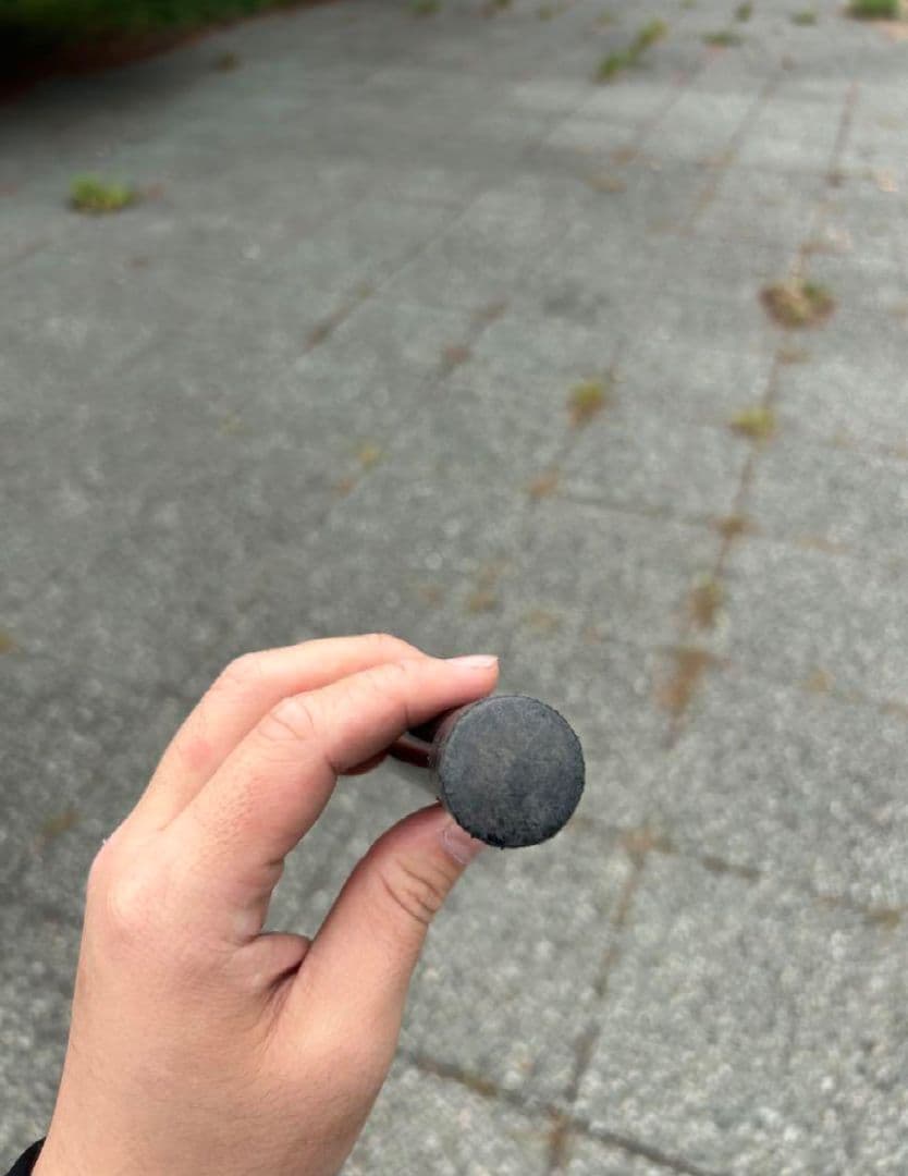 モーニンググローリー TC SABBATICAL サバティカルインナーセット