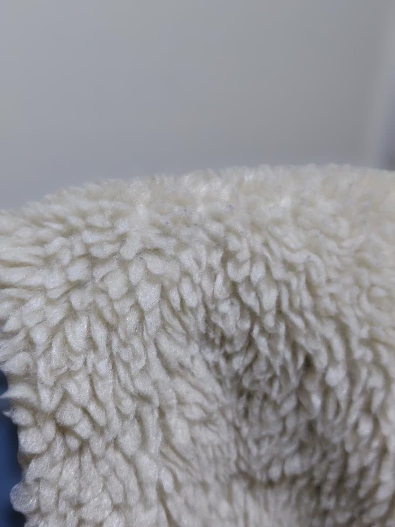 patagonia パタゴニア レトロX ベスト DNPG FA22 Sサイズ