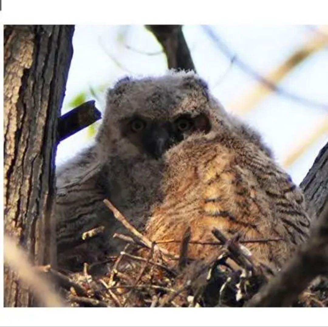 SONY ミラーレスカメラ用 ズームレンズ ホワイト初心者でもOK サポートあり