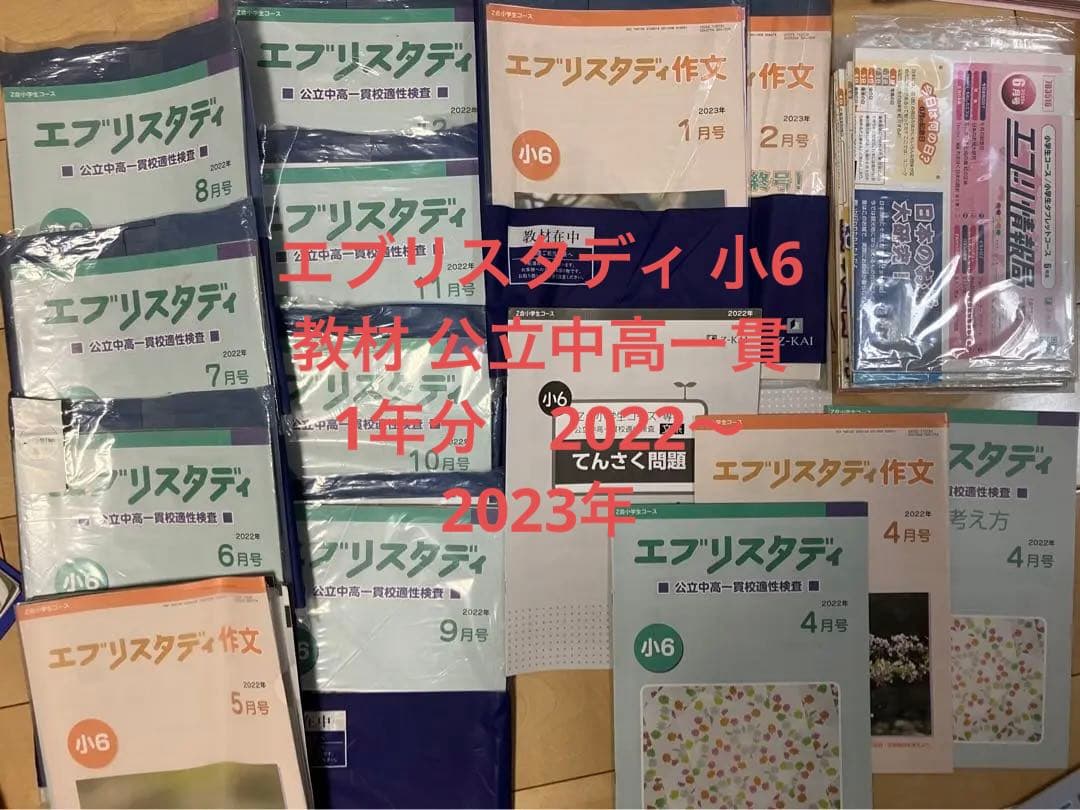 2024年Z会小学生コース 小6 中高一貫 エブリスタディ 小6 教材 公立