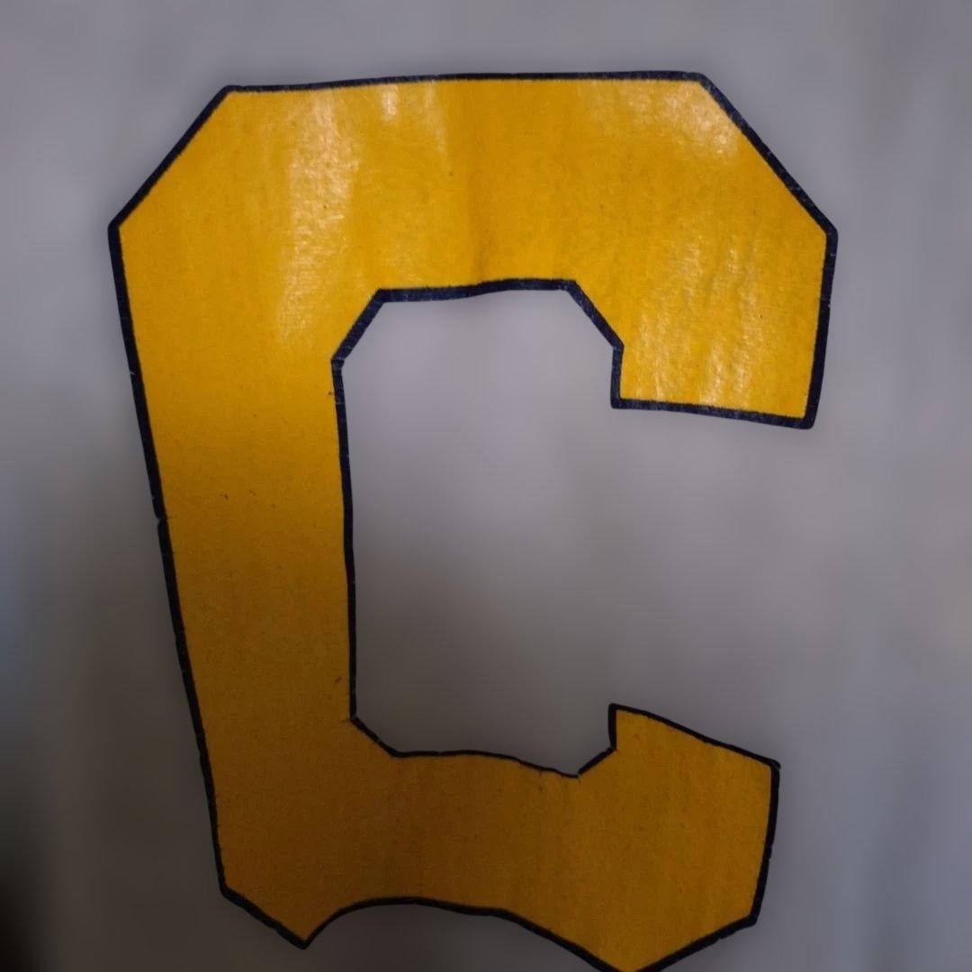 チャンピオン　リバースウィーブ　カリフォルニア　グレー　Lサイズ