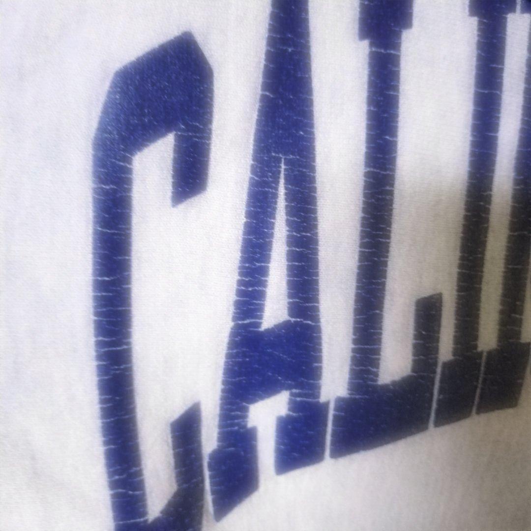 チャンピオン　リバースウィーブ　カリフォルニア　グレー　Lサイズ