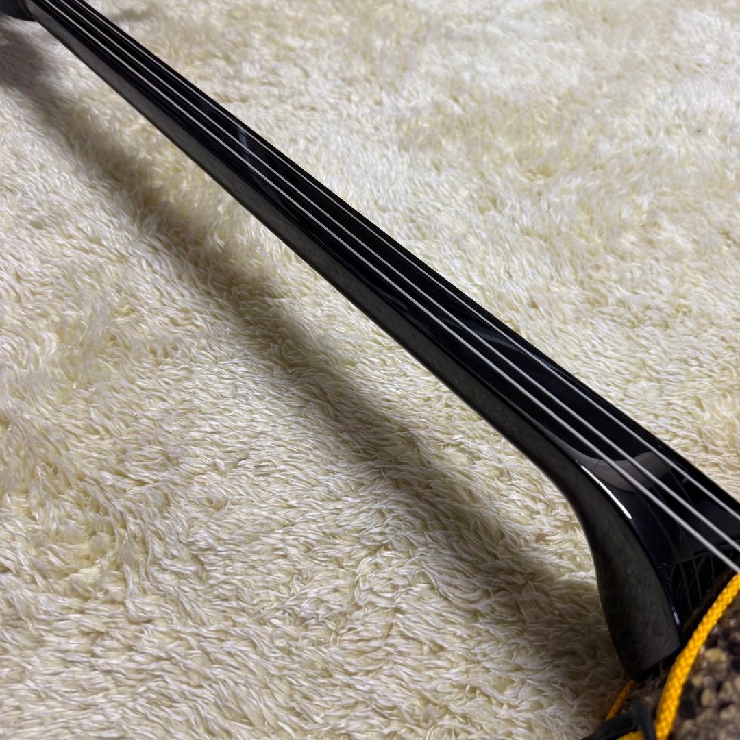 沖縄　三線　蛇皮　琉球 弦楽器　ケース他