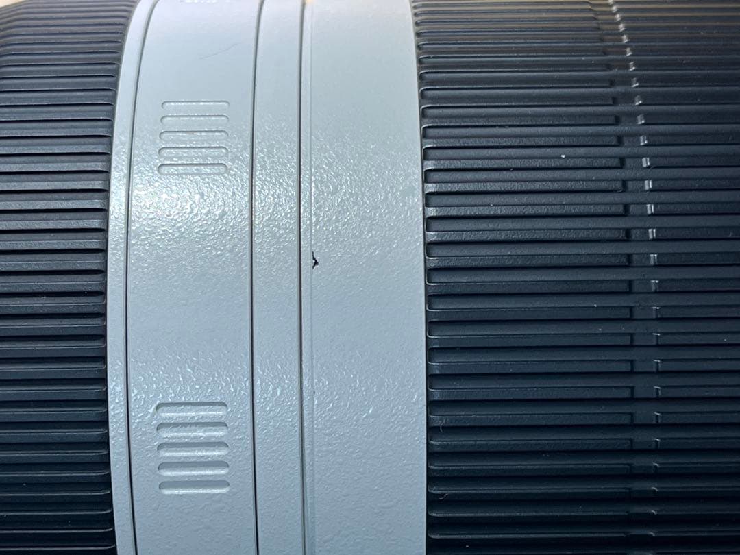 【アダプター付きEF100-400mm F4.5-5.6L IS II USM