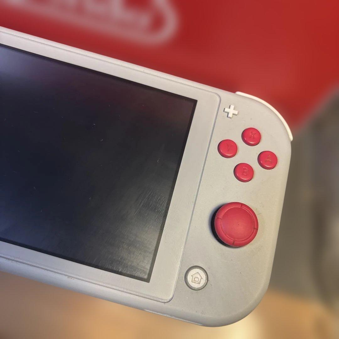 イ*カ様 Nintendo Switch Lite ポケモンデザイン