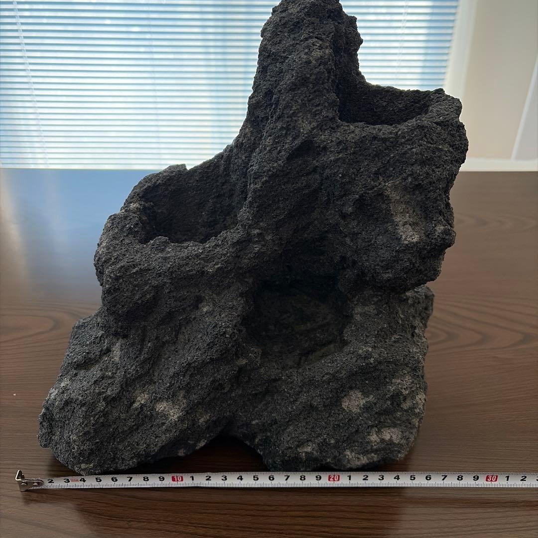 ADA 雲山石 3穴 - メルカリ