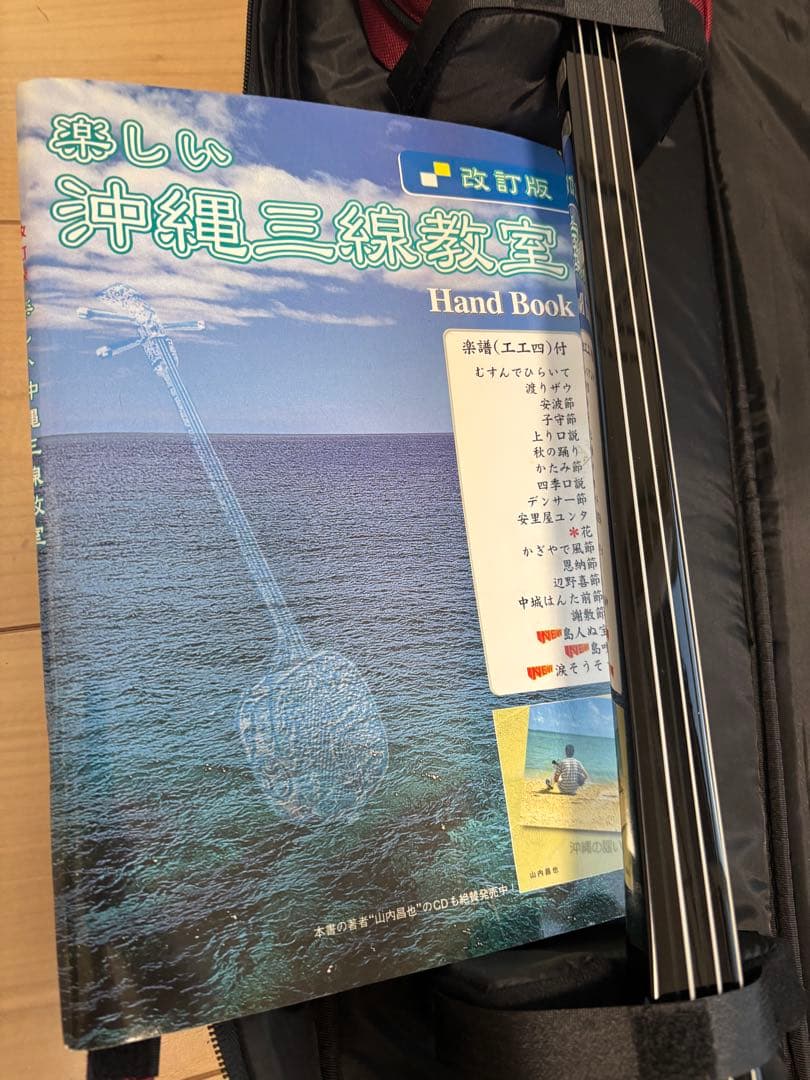 ヘビ柄 三線 本体 教本付き