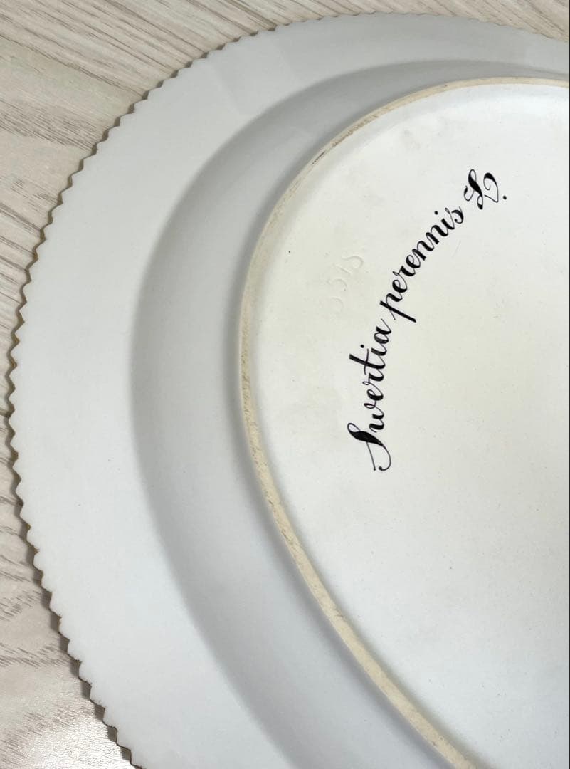 ちゃんおがわ様専用ロイヤルコペンハーゲン フローラダニカ 大皿