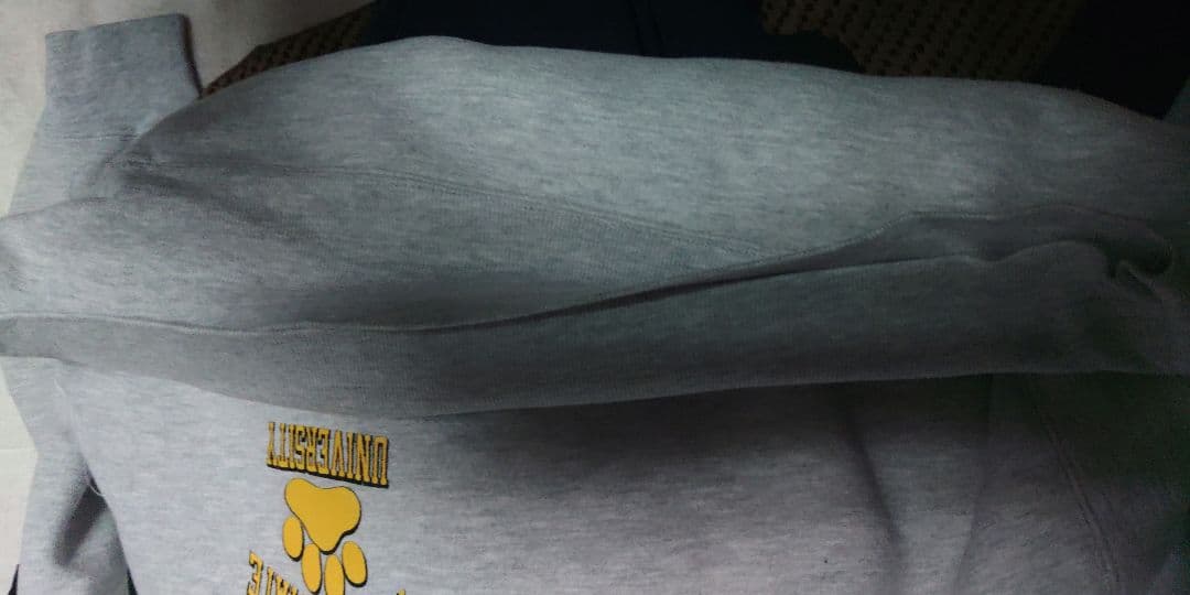 あ*様 80sUSA製Champion REVERSEWEAVE ダブルフェイス