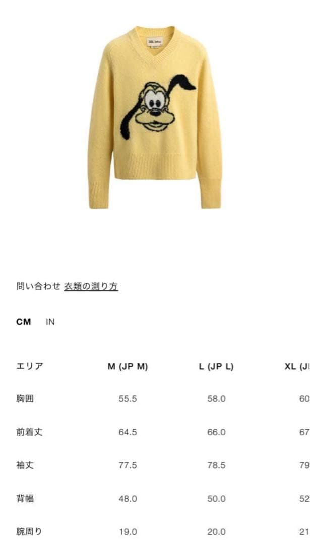 ZARAプルートニット