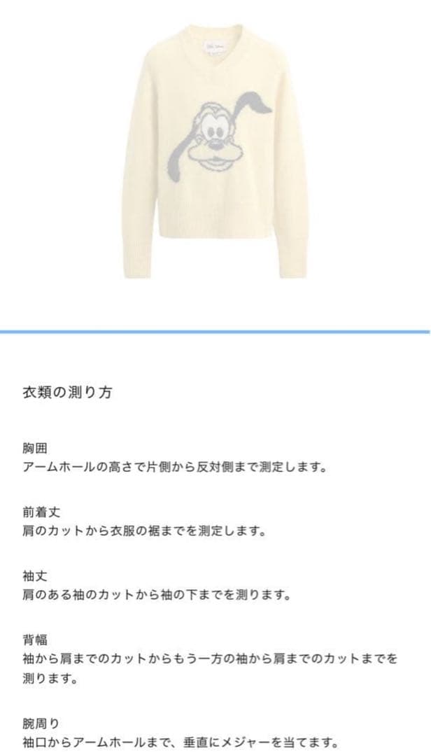 ZARAプルートニット