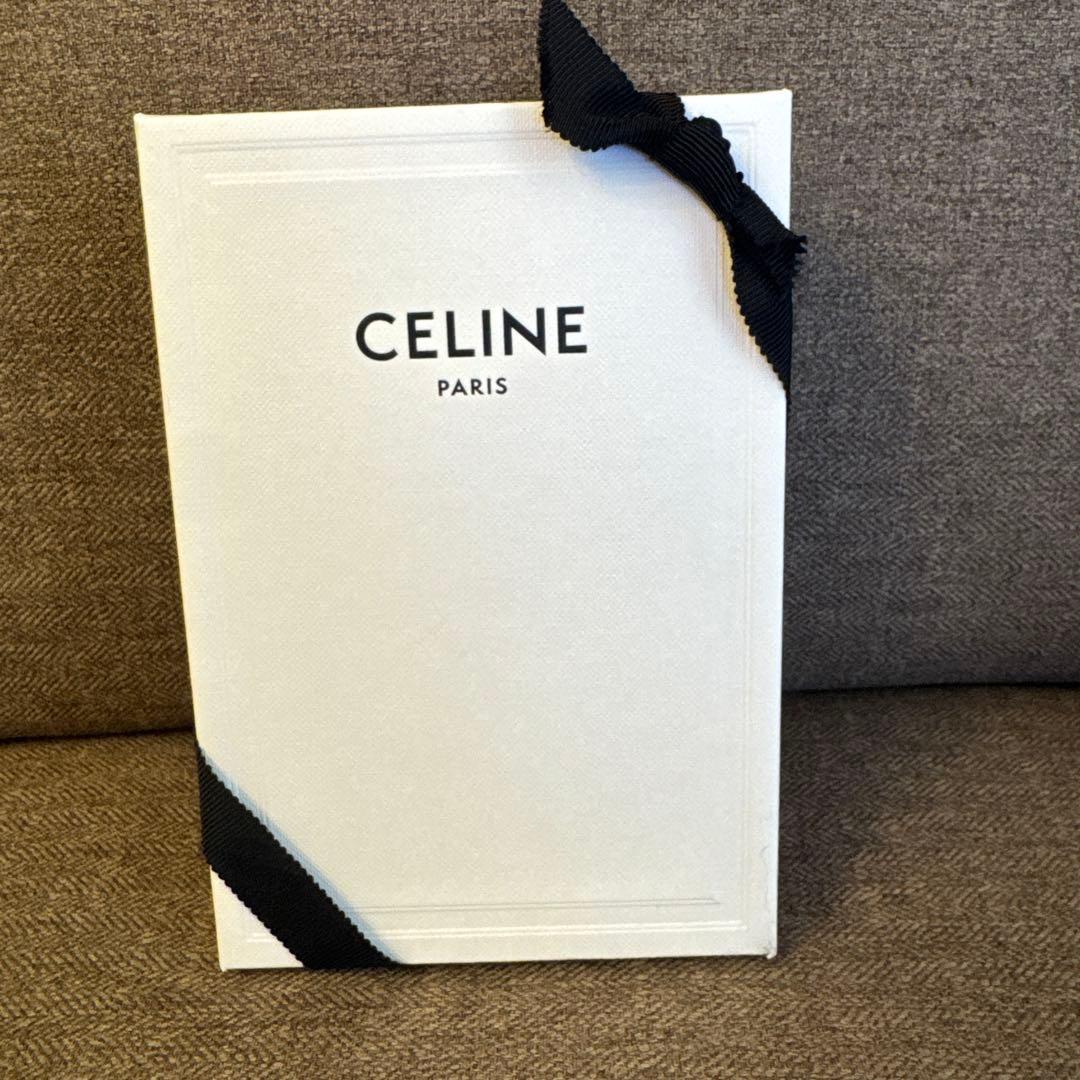 CELINE ケース付きカーブヘアコーム / トリオンフキャンバス