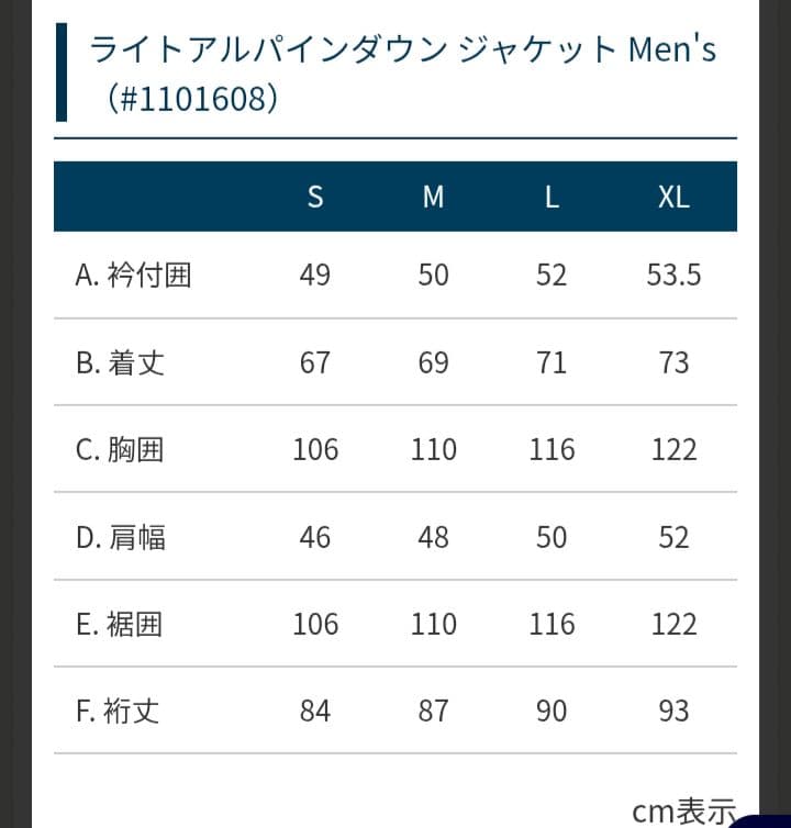 極美品　ライトアルパインダウンジャケット　ブラック　黒　メンズМ　800FP