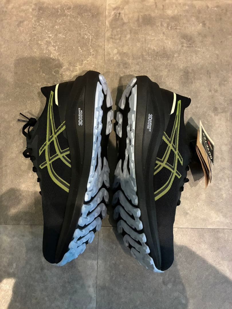 アシックス　ランニングシューズ GT-1000 13 ゴアテックス　27.5cm