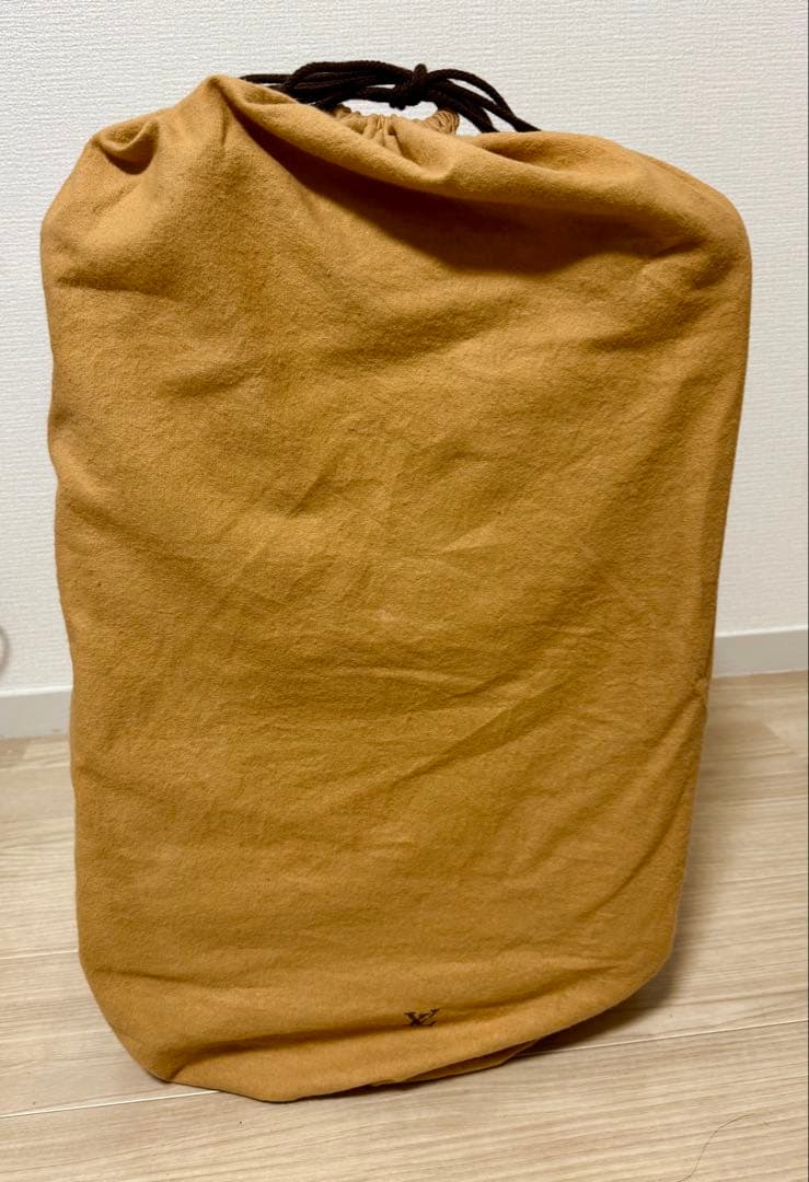 【極美品】ルイヴィトン ダミエ ペガス 55 レザー スーツケース ユニセックス