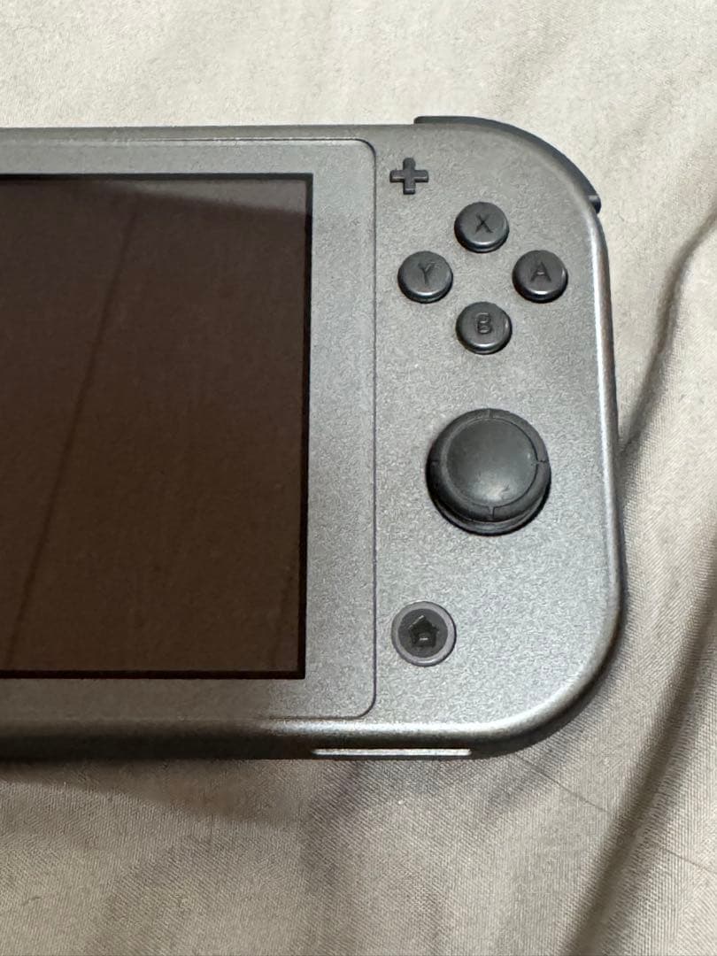 switch lite ディアルガ・パルキア 本体のみ ジャンク