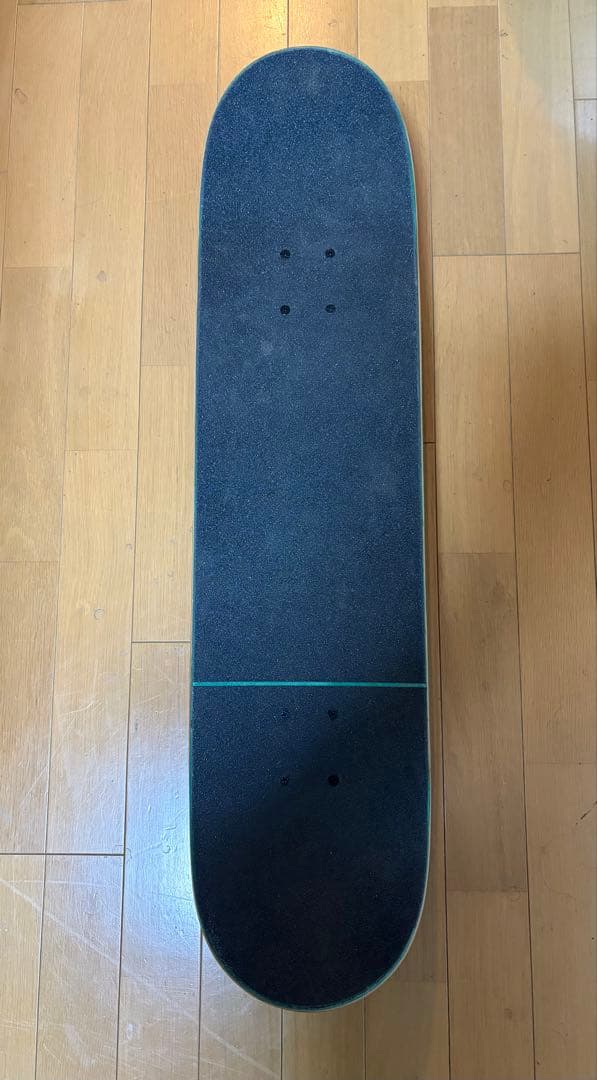 THEORIES スケートボード コンプリート