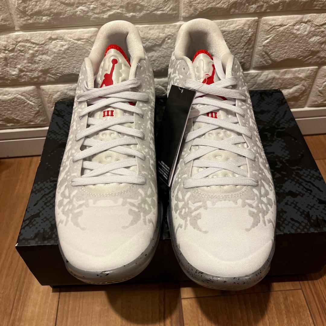 ナイキ　NIKE ザイオン　3