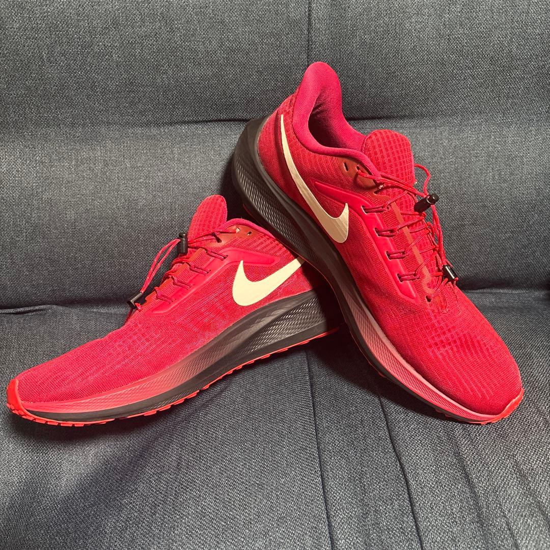 Nike ナイキ エアズームペガサス39 By You 28cm〜28.5cm