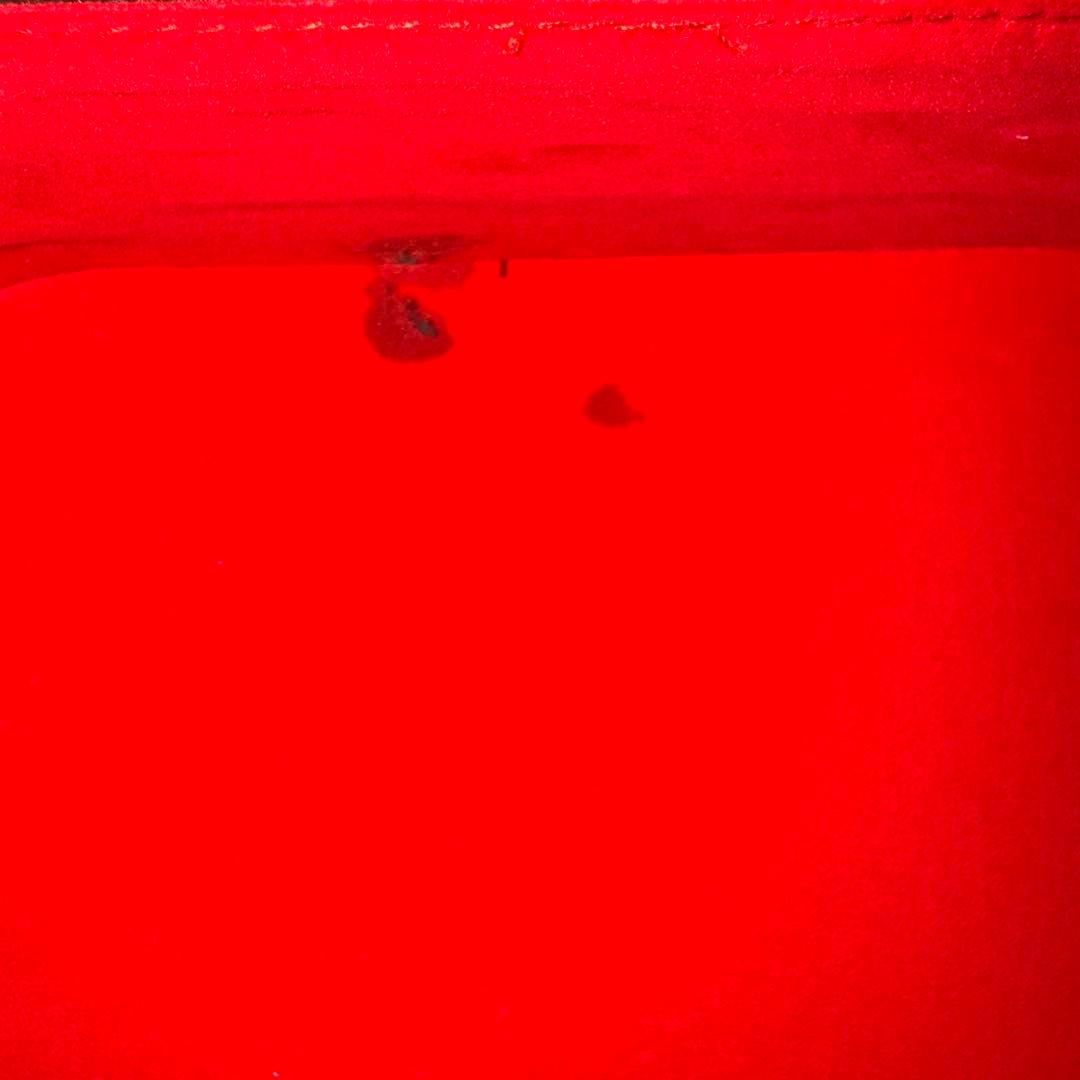 三線 弦楽器 和楽器 楽器 蛇柄 人工皮 ハードケース付き