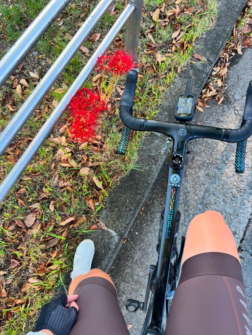 値下げ【BLACK INC】カーボン 一体型ハンドル マウントセット