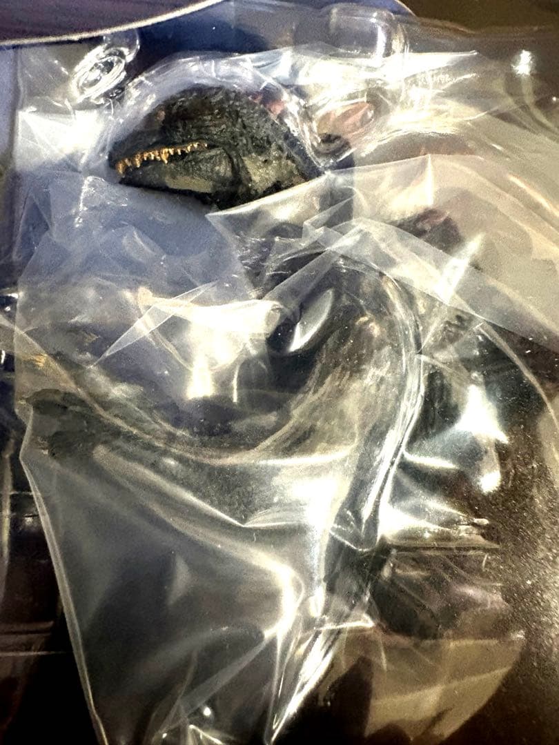 S.H.MonsterArts. ゴジラ (2000)