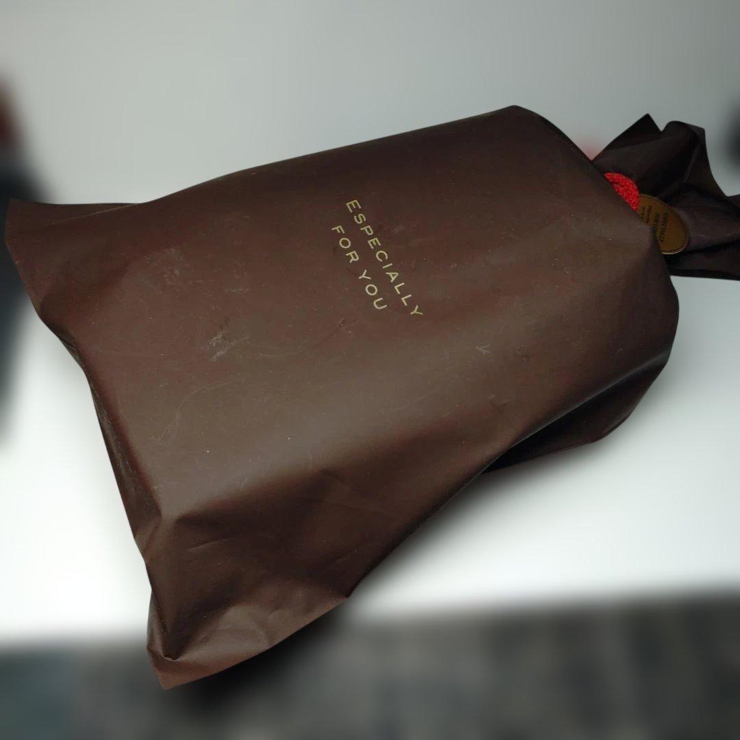 Ray-Ban 人気のプレミア生産終了モデル RB4259F 未使用品