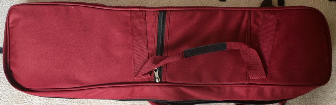 三線　沖縄　本皮強化張り、ソフトケース付　初心者　三味線　送料込み