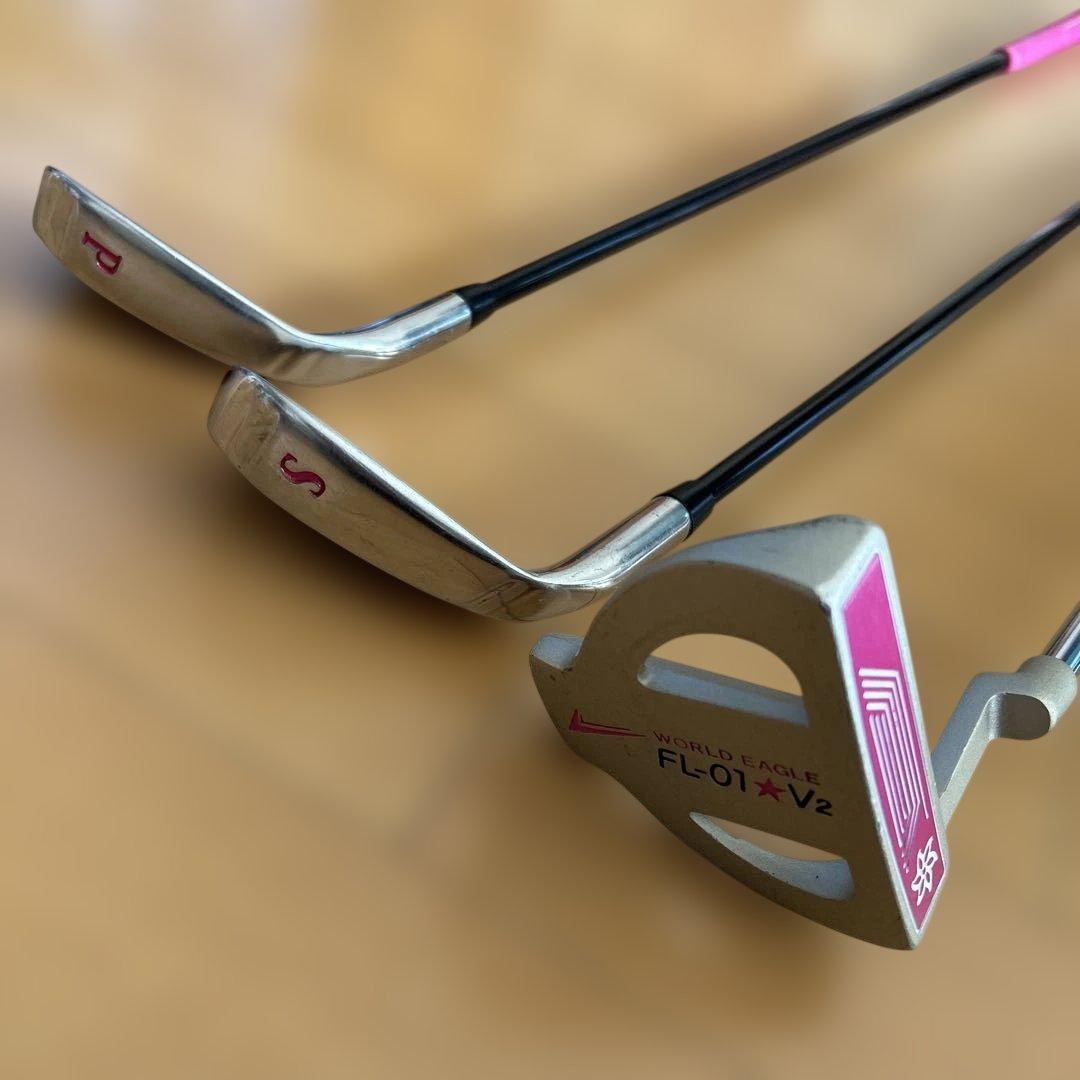 WORLD EAGLE FL-01V2 クラブセット 10本 レディース/右用