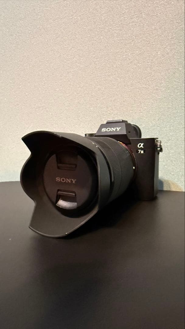 お得!!PeakDesignバッグ付 SONY α7III フルレンズキット