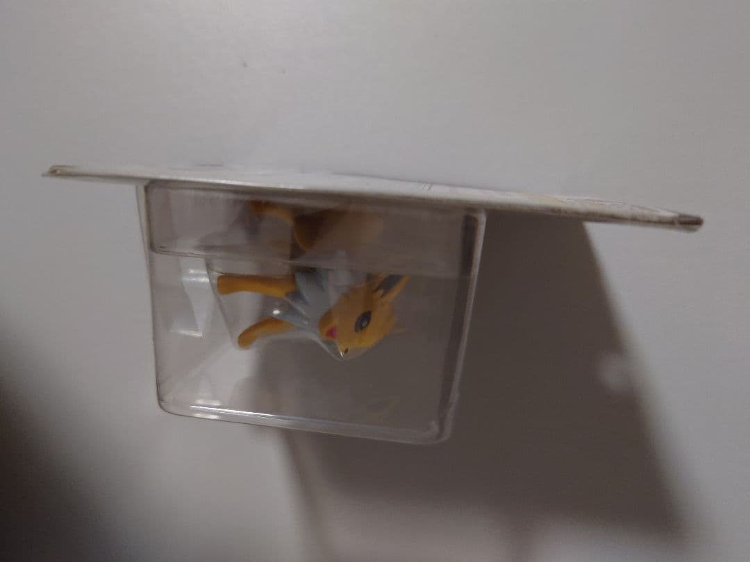 モンコレ　サンダース