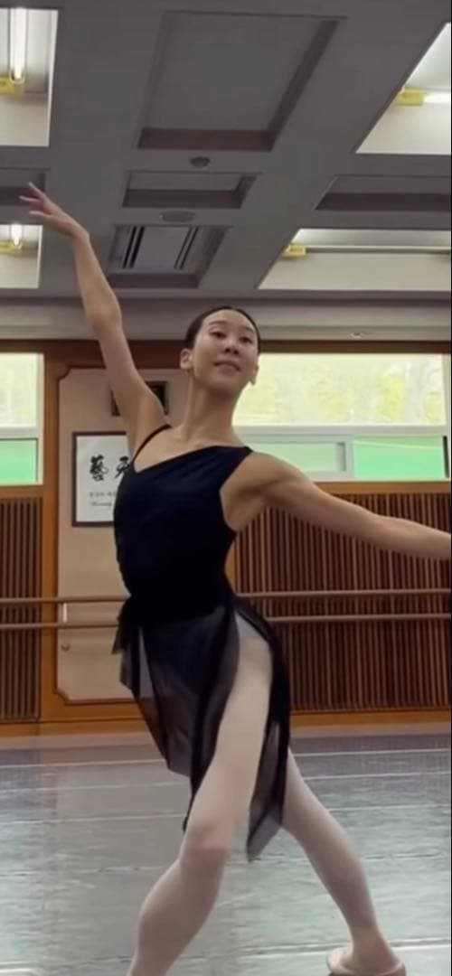 はいちゃん美品【TAECHO】女神レオタードM