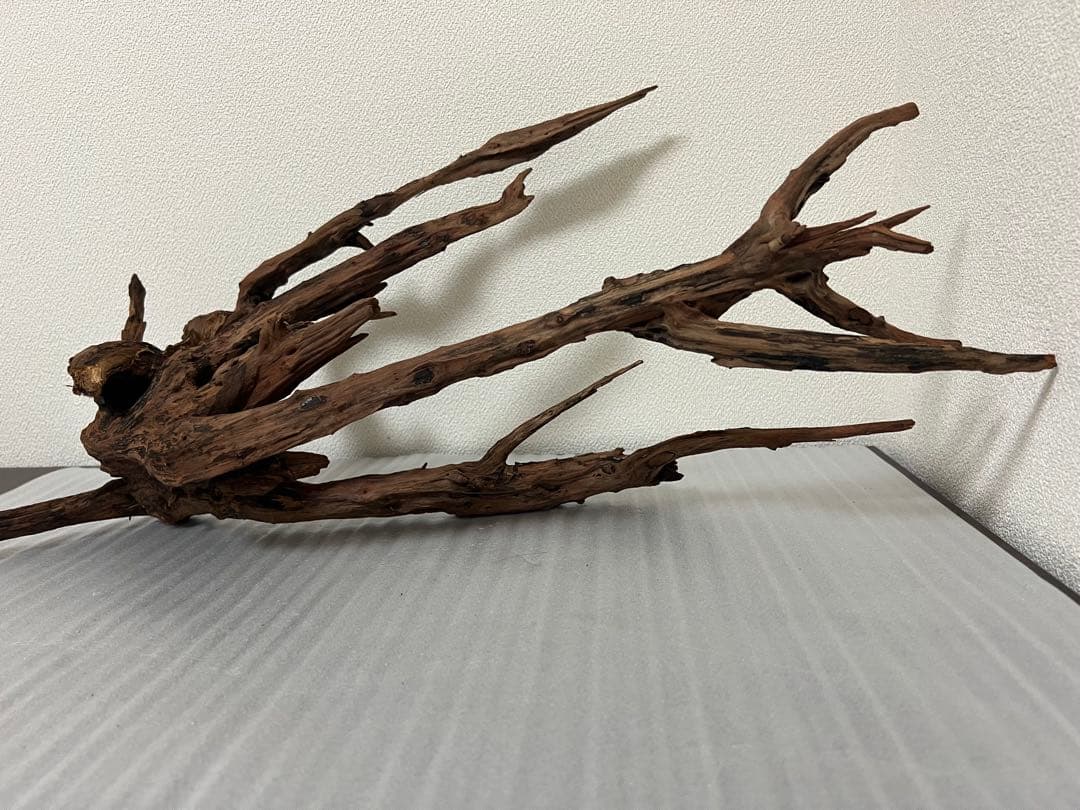 HX-083 流木 ホーンウッド マシンガンウッド アクアリウム ブランチ