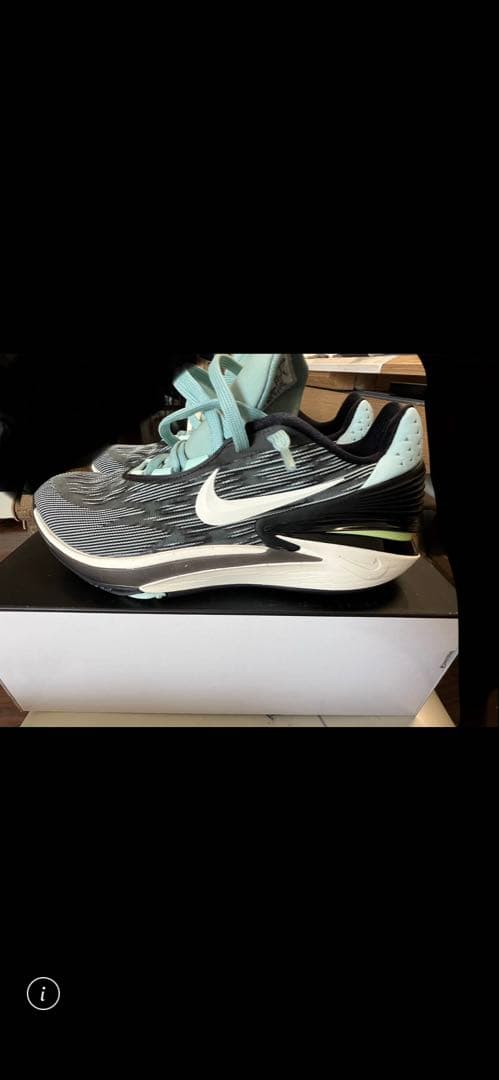 Nike バスケットボールシューズ GTカット2