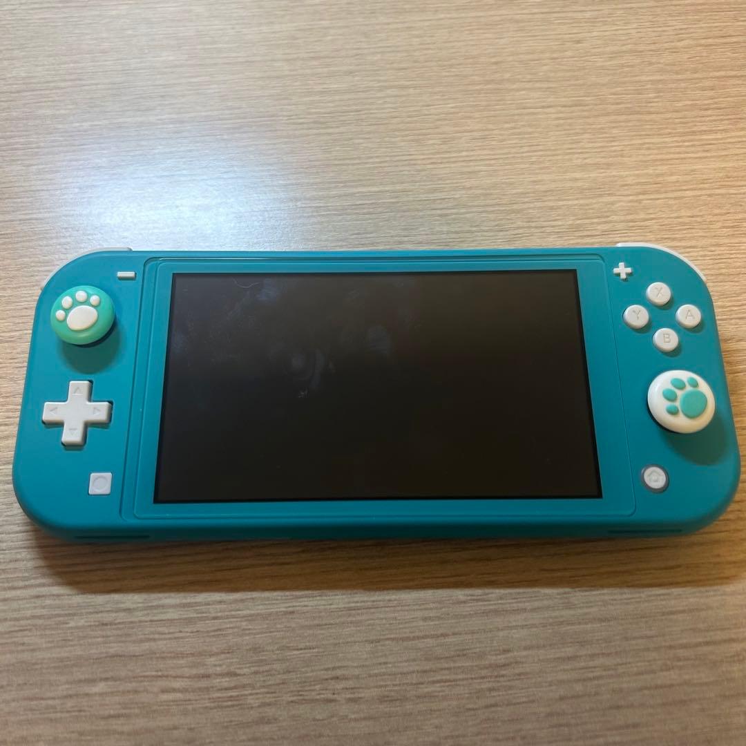 【画面に縦線あり】Nintendo Switch lite