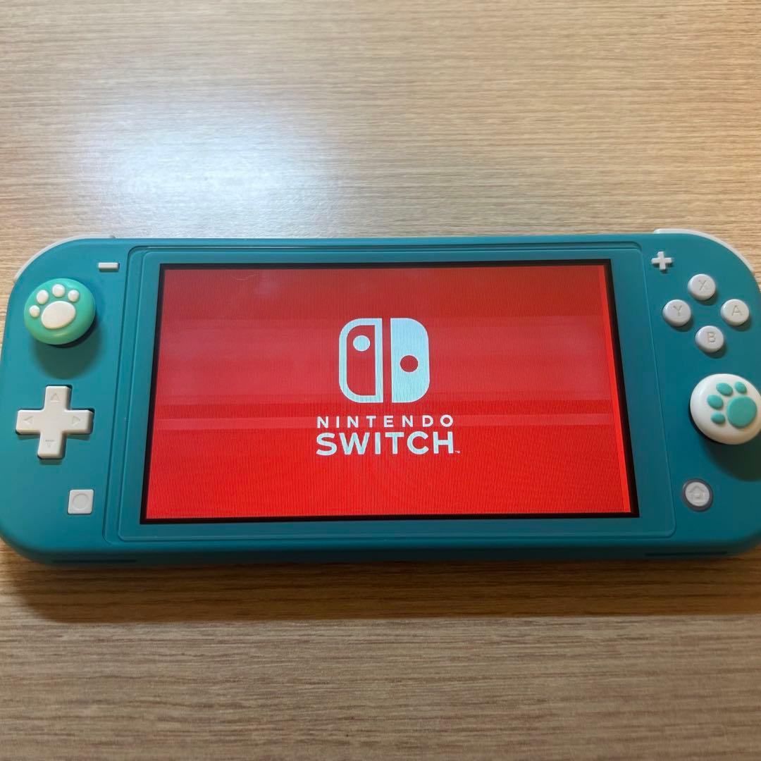 【画面に縦線あり】Nintendo Switch lite