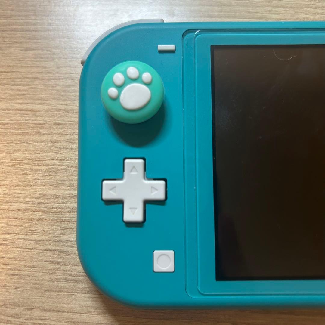 【画面に縦線あり】Nintendo Switch lite