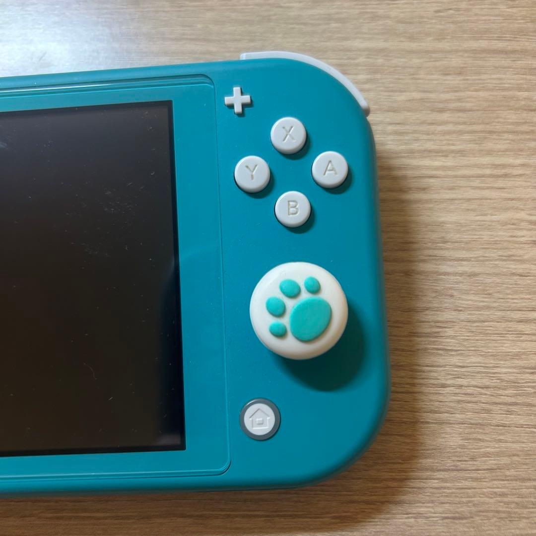 【画面に縦線あり】Nintendo Switch lite