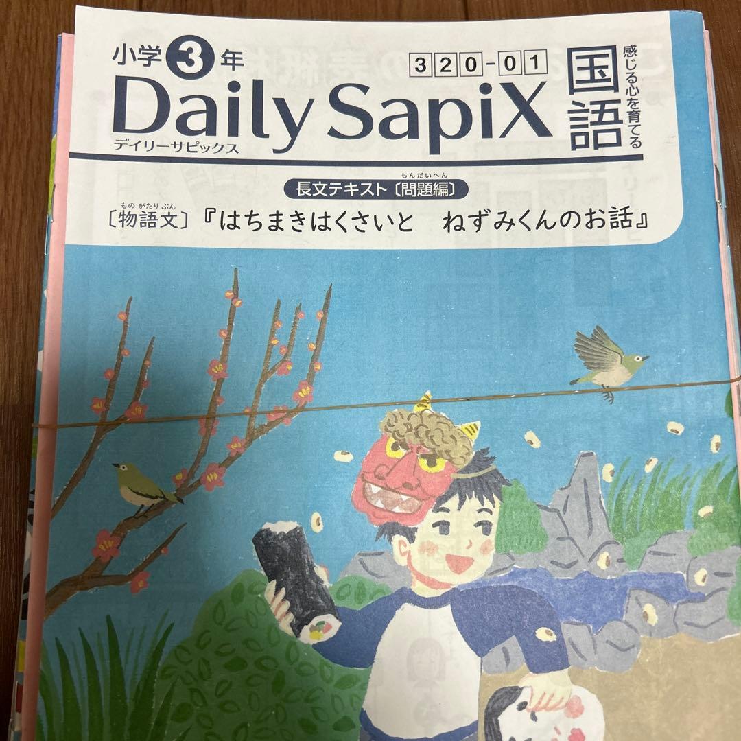 Spring様　デイリーサピックス 310-01-09 他　小学3年