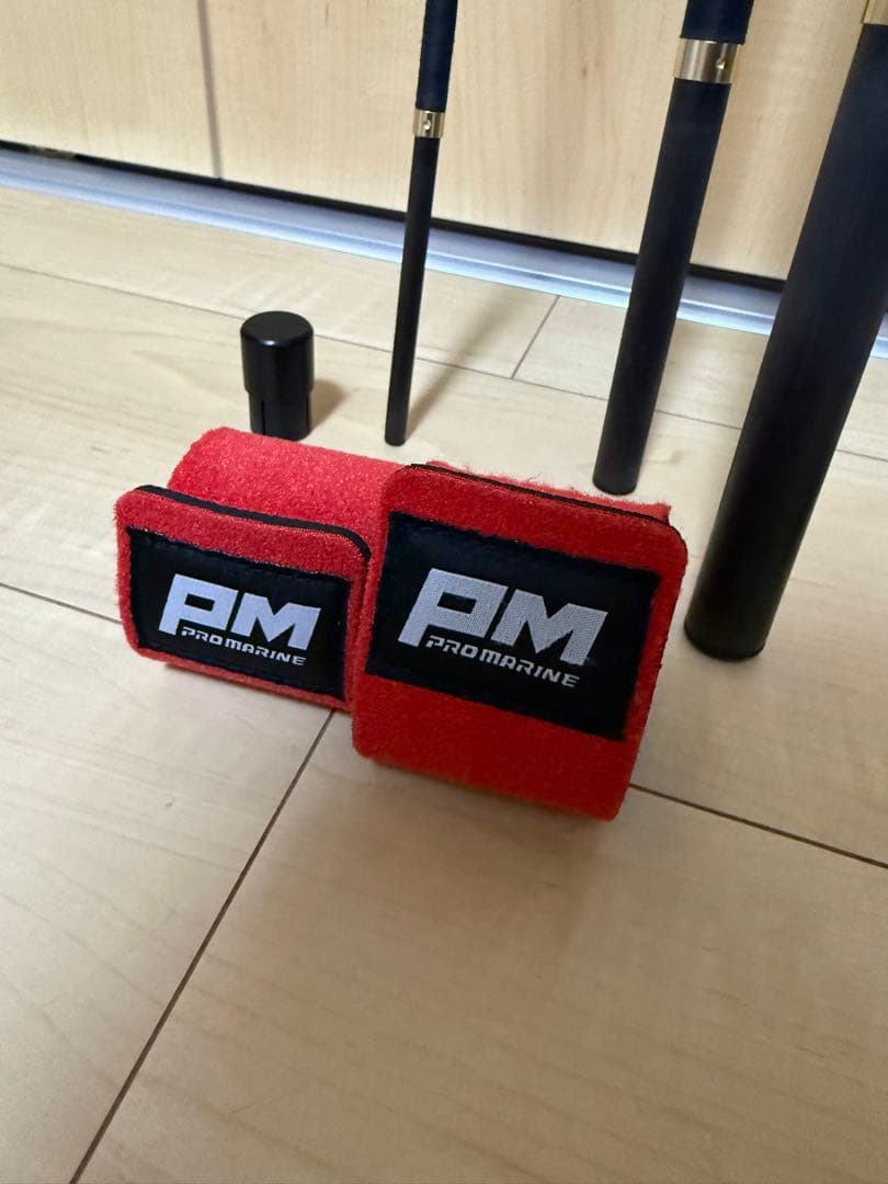 がま石　レギス3 くわせ520