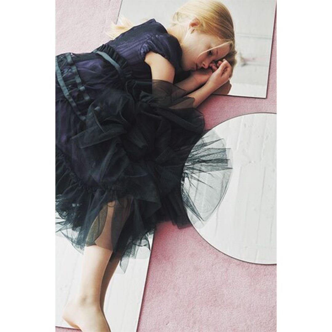 専用　ANNA SUI mini バラ刺しゅう重ねチュールドレス