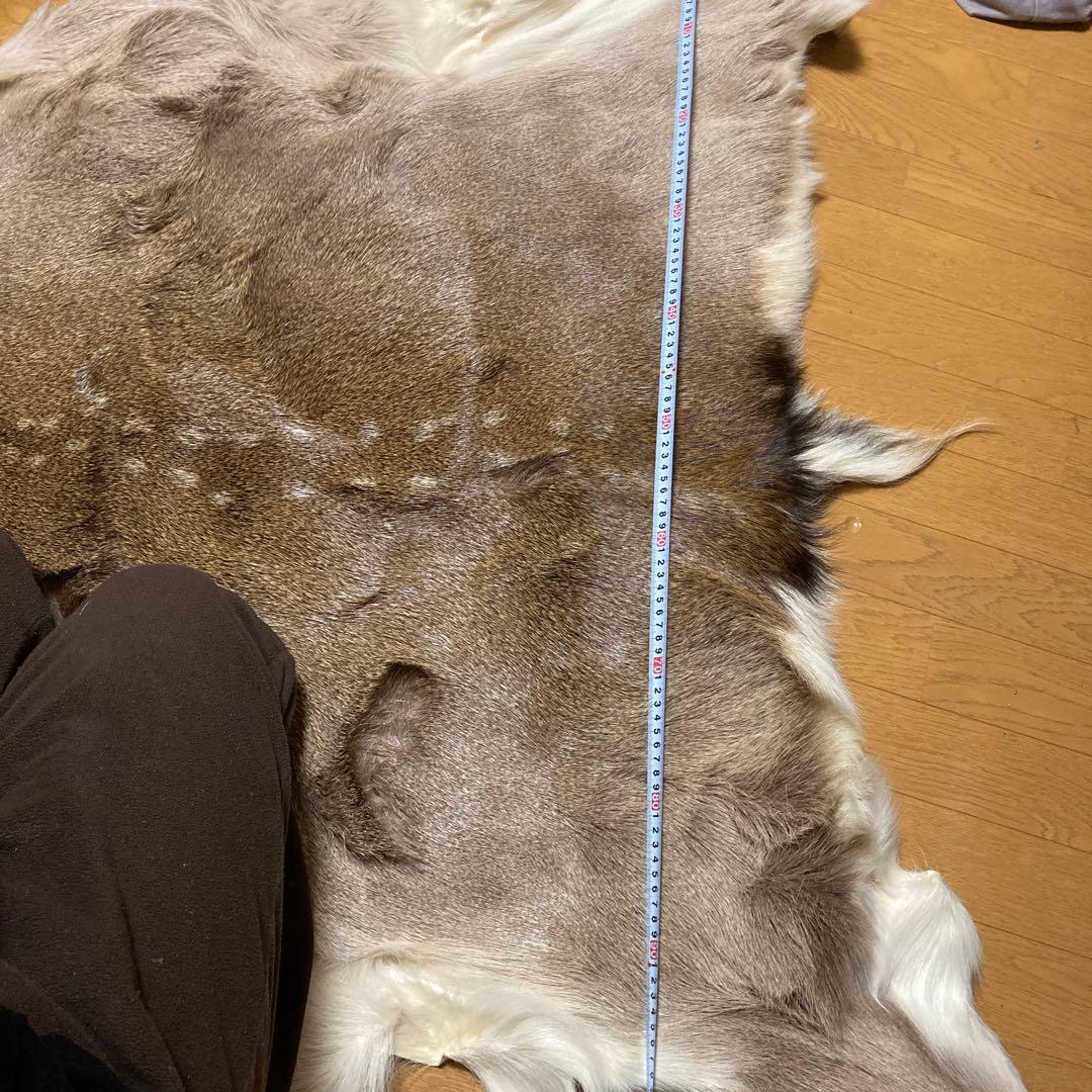 蝦夷鹿 エゾシカ 毛皮敷物 キャンプ ブッシュクラフト - メルカリ