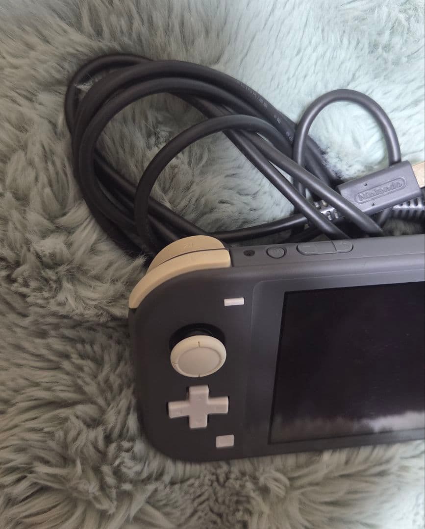 グレー　Nintendo Switch Lite　充電器付き スイッチライト