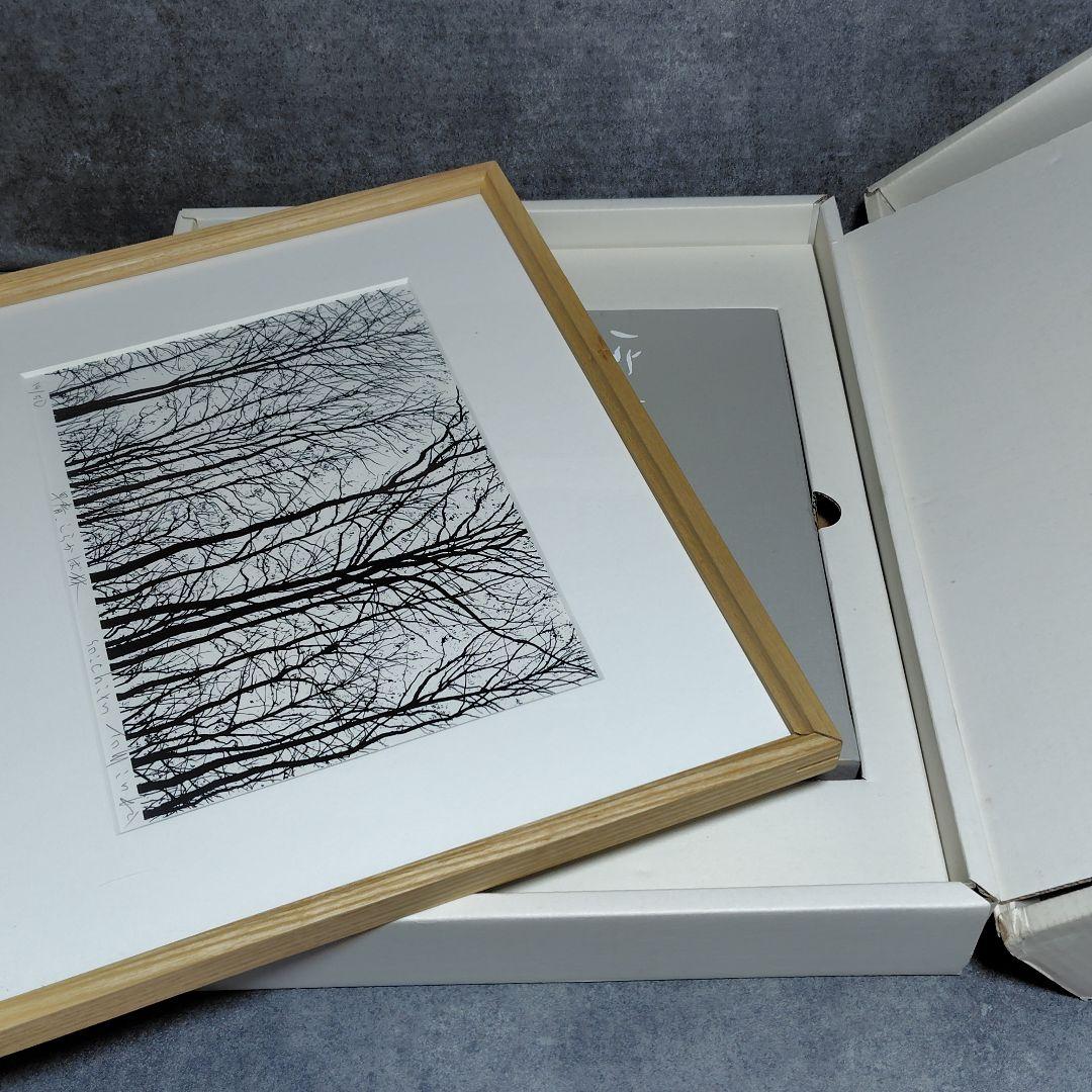 シルクスクリーン 富岡惣一郎 早春 しらかば林 限定50部 日本経済新聞