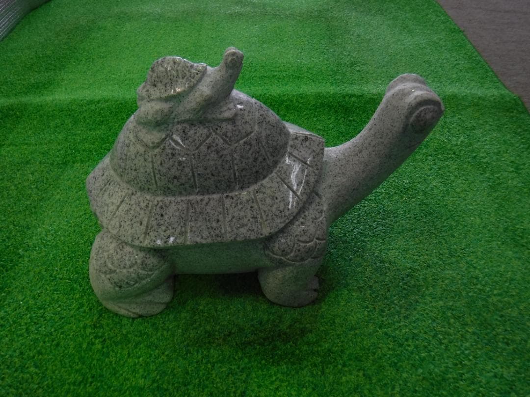 亀の背に子亀が１匹