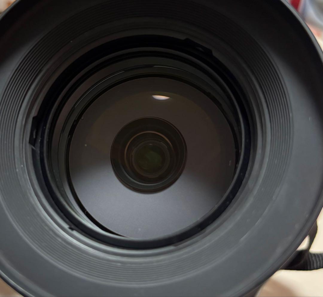 【値下げ中】Nikon COOLPIX P950※商品概要見てから購入して下さい