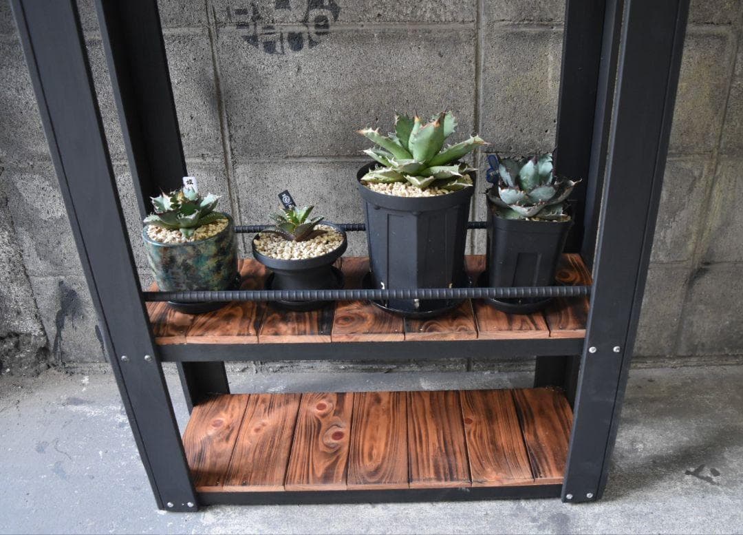 ち*こ様 男前インテリア 植物育成棚 多肉植物 ラック 棚 耐水性あり